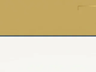 Как защитить активы бизнеса от кредиторов: пошаговый план